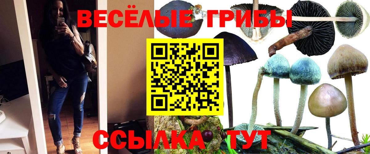 Галлюциногенные грибы мицелий  Вход с VPN  Юрга 